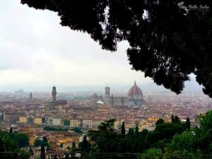 22343865_903106053191683_1018687423_o