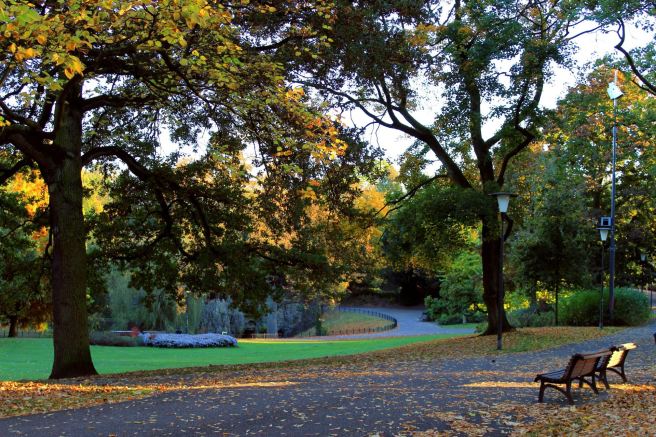 Nijmegen | Tips en bezienswaardigheden voor de oudste stad van Nederland