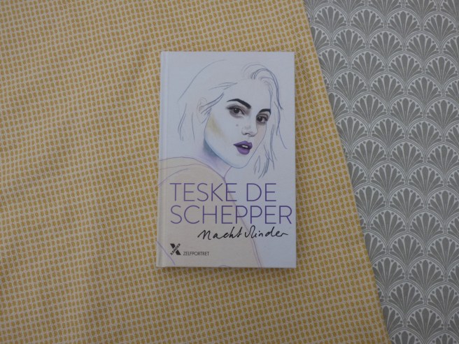 'Nachtvlinder' van Teske de Schepper