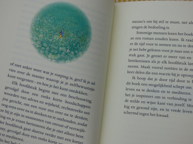 Recensie: "Dingen die je alleen ziet als je er de tijd voor neemt" van Haemin Sunim